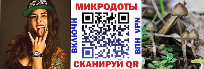 МЕГА вход  Нефтегорск  Галлюциногенные грибы Cubensis 